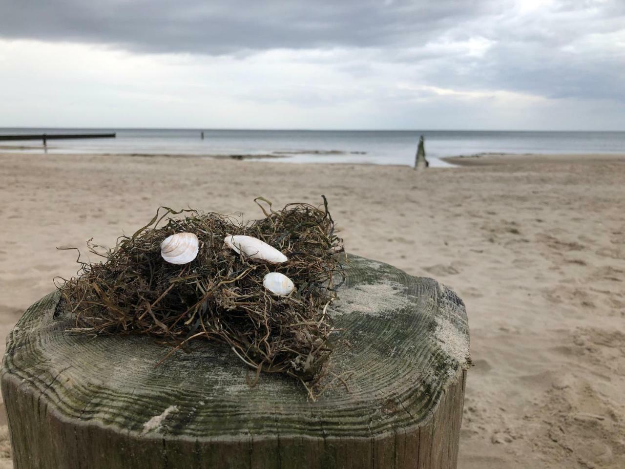 Ferienwohnung Strandnah Zempin Eksteriør billede